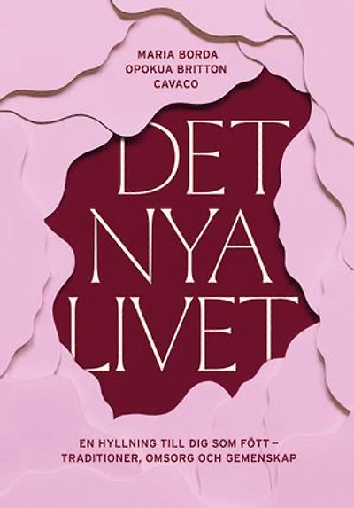 Det nya livet : En hyllning till dig som fött - traditioner, omsorg och gemenskap