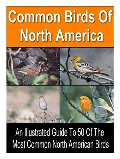 50 Common Birds of North America