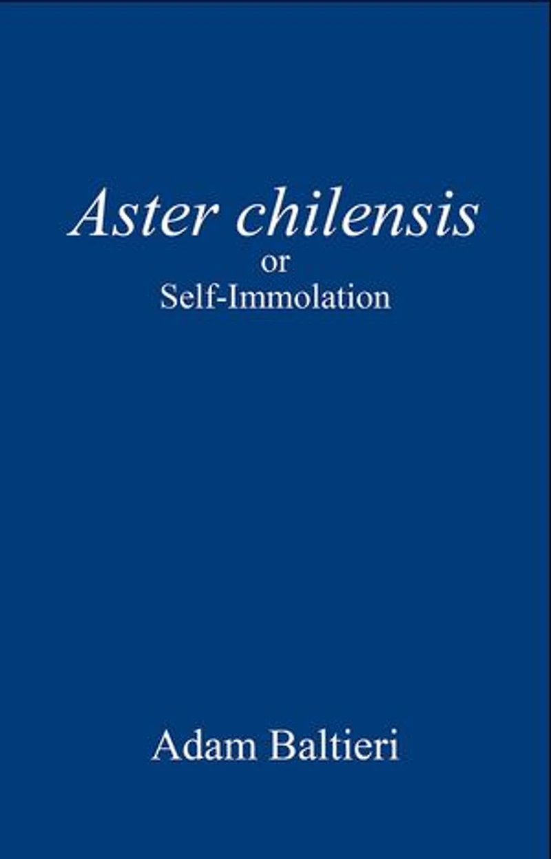 Aster chilensis: or Self-Immolation