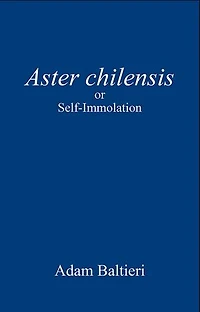 Aster chilensis: or Self-Immolation
