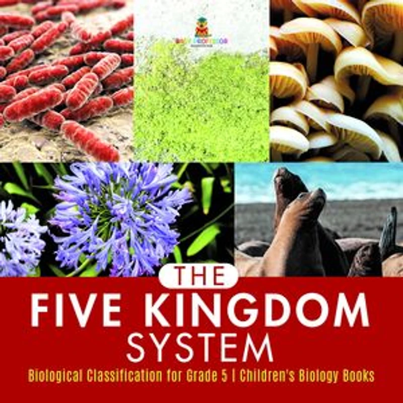 The Five Kingdom System | Biological Classification for Grade 5 | Children's Biology Books