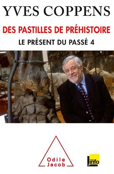 Des pastilles de la préhistoire: Le présent du passé tome 4