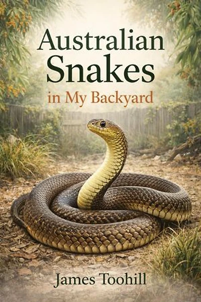 Australian Snakes in My Backyard