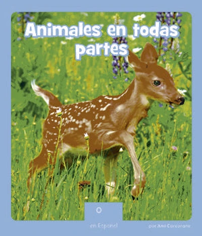 Animales en todas partes