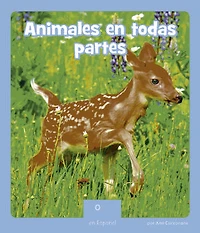 Animales en todas partes