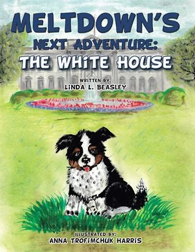 Meltdown's Next Adventure: The White House