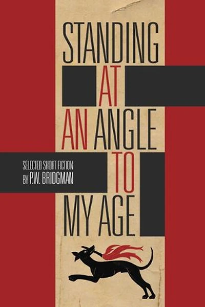 Standing at an Angle to My Age