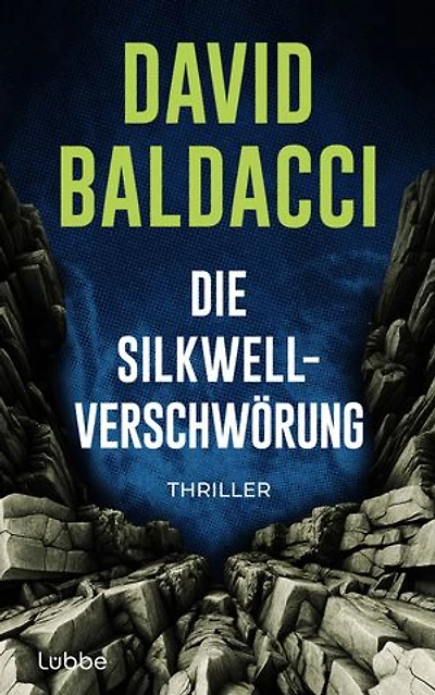 Die Silkwell-Verschwörung: Thriller. Ein Mord an einer CIA-Agentin. Amerikas schmutzigste Geheimnisse. Ein neuer Fall für Travis Devine