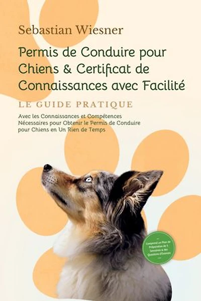 Permis de Conduire pour Chiens & Certificat de Connaissances avec Facilité