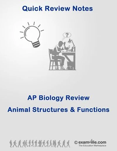 AP Biology - Animal Structures and Functions: Quick Review and Outline