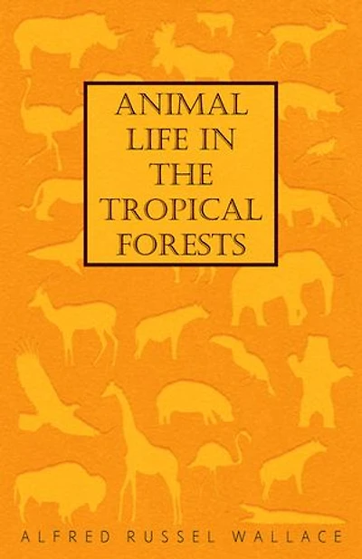 Animal Life the Tropical Forests