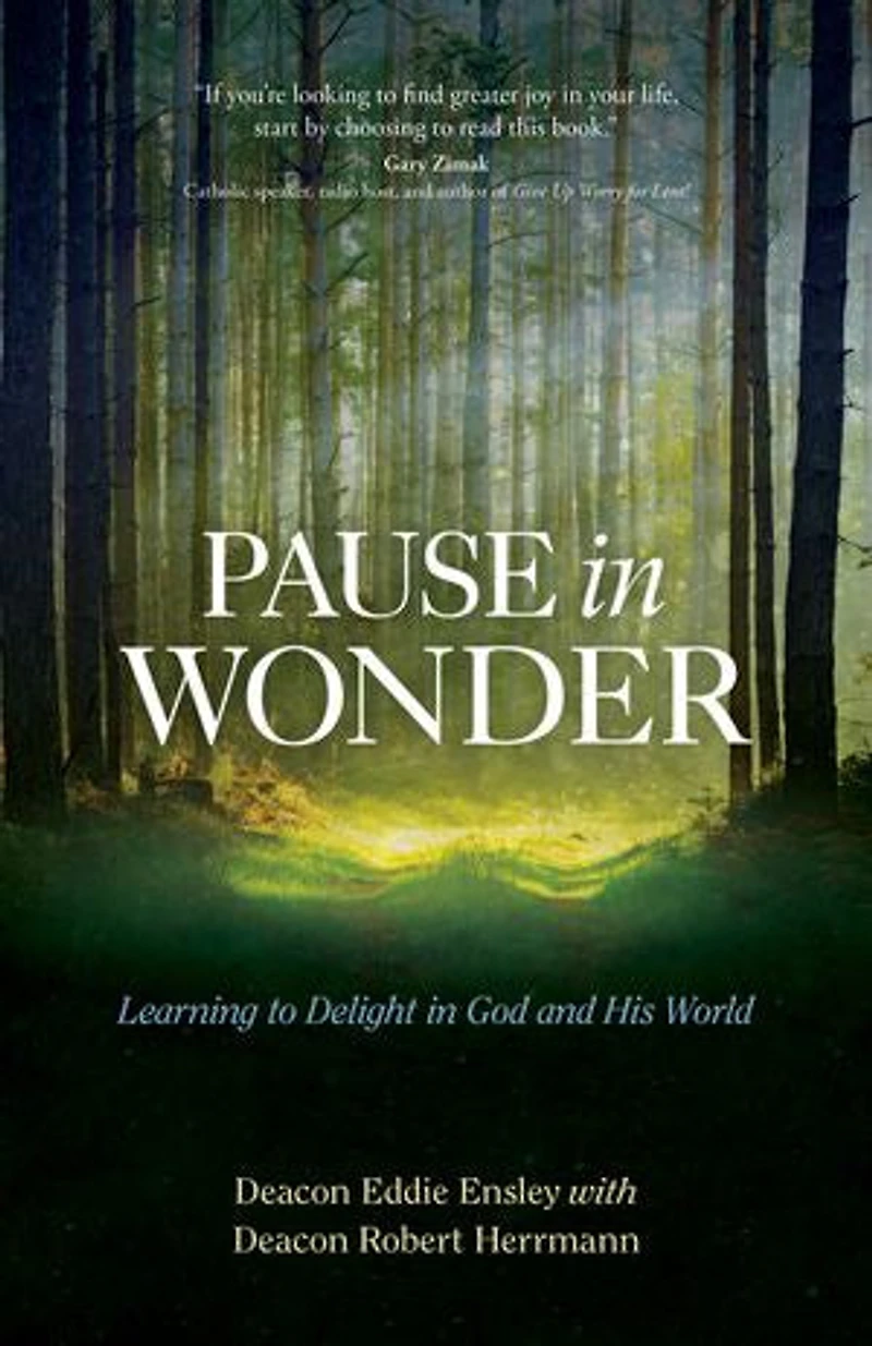 Pause Wonder: Learning To Delight God And His World