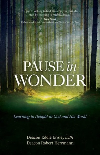 Pause Wonder: Learning To Delight God And His World