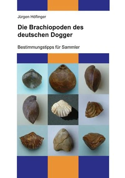 Die Brachiopoden des deutschen Dogger: Bestimmungstipps für Sammler