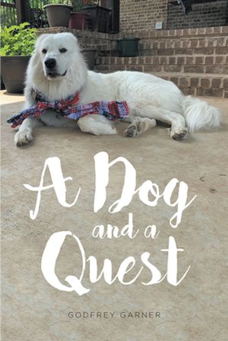 a Dog and Quest