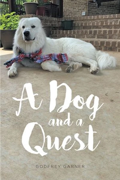 a Dog and Quest