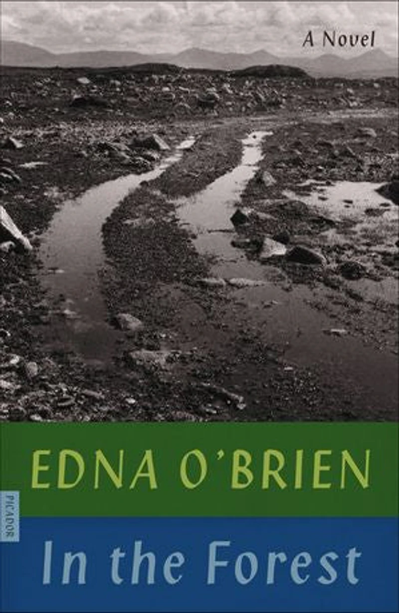 the Forest: A Novel