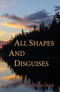All Shapes and Disguises: Kate O'Malley Mystery, #2