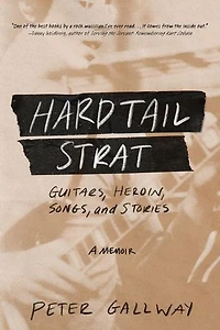 Hardtail Strat: Guitars, Heroin, Songs and Stories