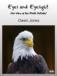 Eyes and Eyesight: Our View of the World Outside!