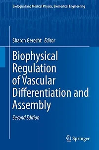 Biophysical Regulation of Vascular Differentiation and Assembly