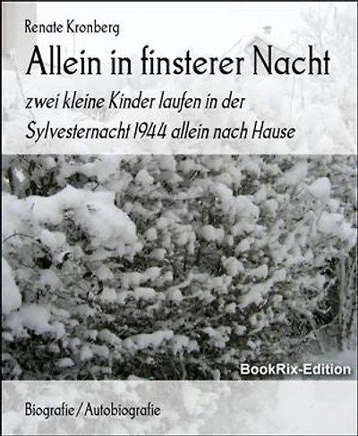 Allein in finsterer Nacht: zwei kleine Kinder laufen in der Sylvesternacht 1944 allein nach Hause