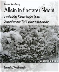 Allein in finsterer Nacht: zwei kleine Kinder laufen in der Sylvesternacht 1944 allein nach Hause