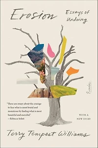 Erosion: Essays Of Undoing