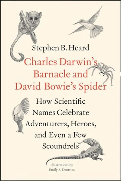 Charles Darwin's Barnacle and David Bowie's Spider: How Scientific Names Celebrate Adventurers, Heroes, and Even a Few Scoundrels