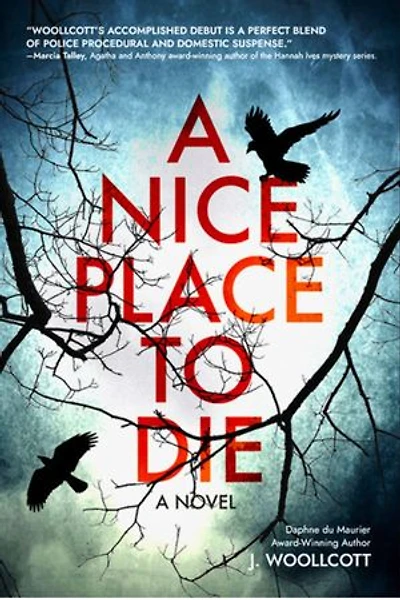 A Nice Place to Die: A DS Ryan McBride Novel