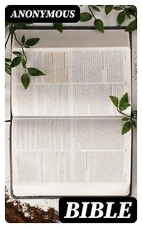 Bible: Enriched edition.