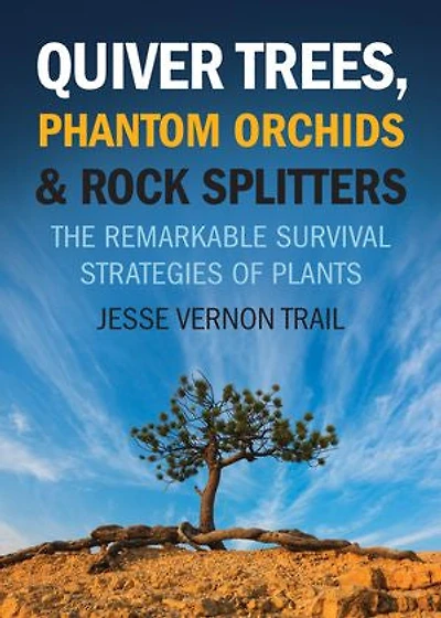 Quiver Trees, Phantom Orchids And Rock Splitters: The Remarkable Survival Strategies Of Plants
