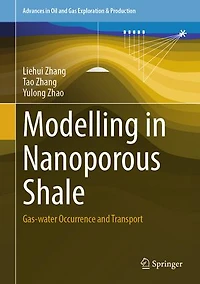 Modelling Nanoporous Shale: Gas-water Occurrence and Transport