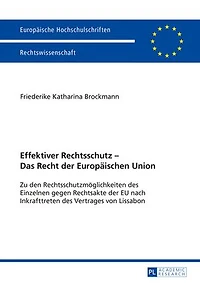 Effektiver Rechtsschutz - Das Recht der Europaeischen Union: Zu den Rechtsschutzmoeglichkeiten des Einzelnen gegen Rechtsakte EU nach Inkrafttreten Vertrages von Lissabon
