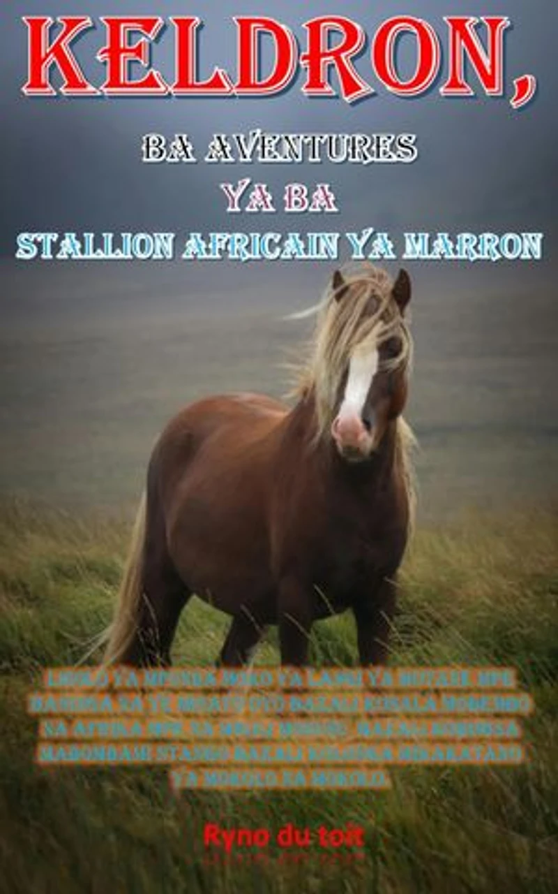 Keldron, ba Aventures ya ba Stallion africain ya marron