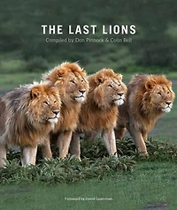 Last Lions