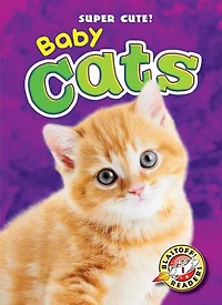 Baby Cats