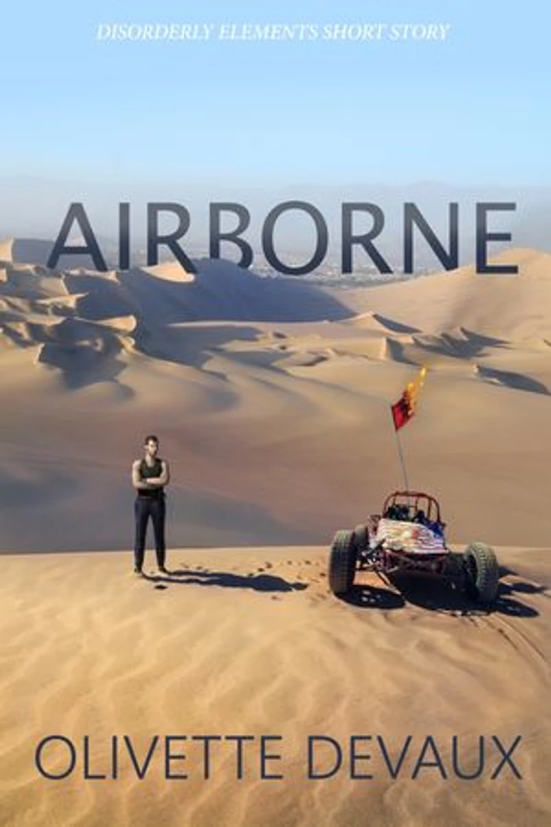 Airborne: Disorderly Elements, #7