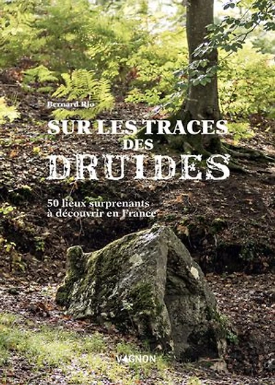 Sur la trace des druides: 50 lieux surprenants à découvrir en France