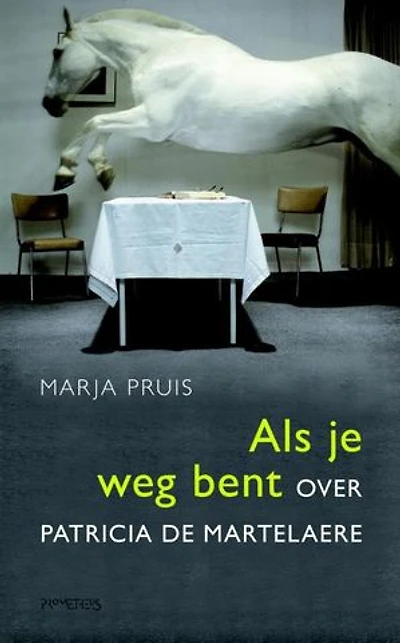 Als je weg bent: over Patricia de Martelaere