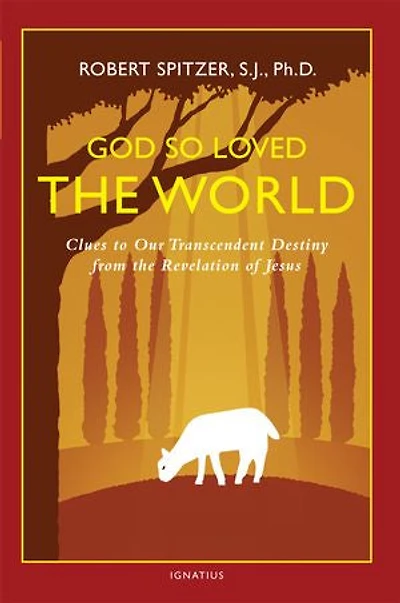 God So Loved The World: Clues To Our Transcendent Destiny From Revelation Of Jesus