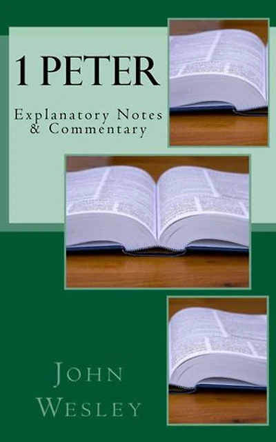 Peter: Explanatory Notes & Commentary