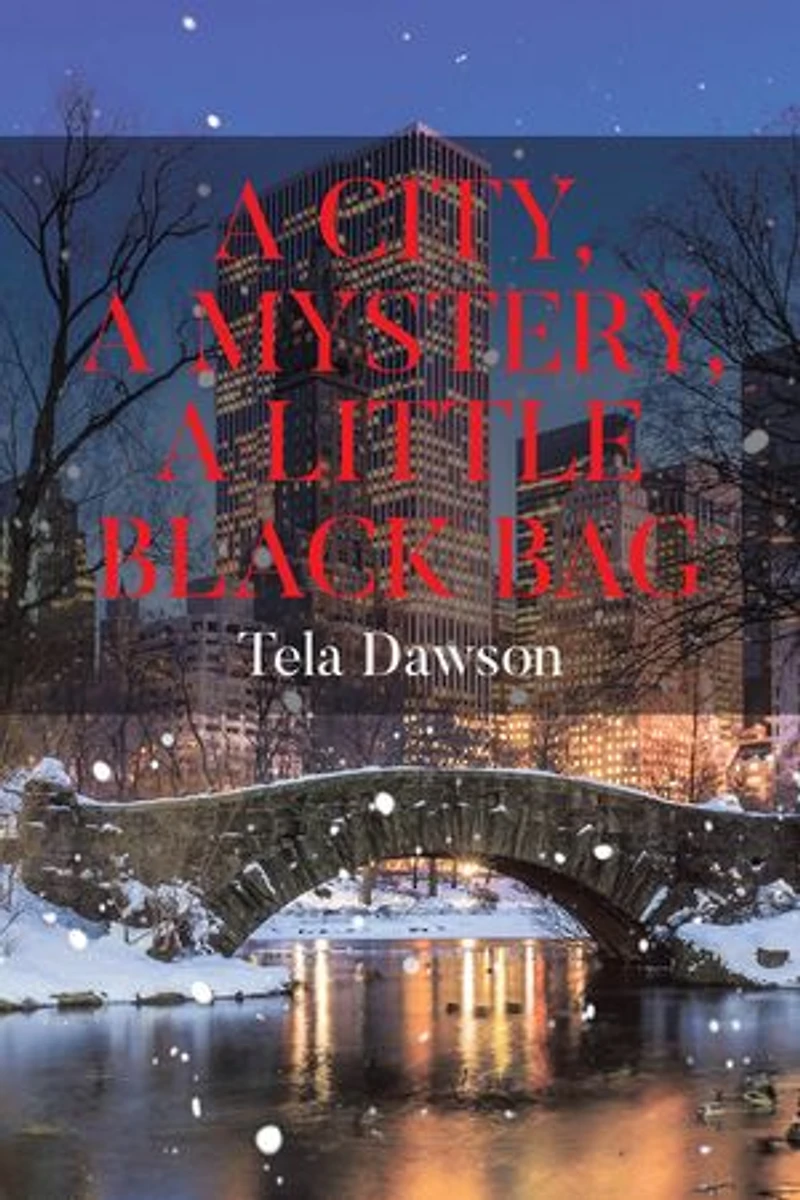 A City, a Mystery, a Little Black Bag