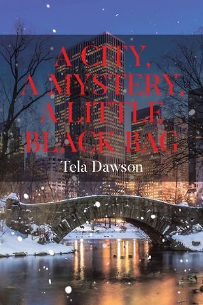 A City, a Mystery, a Little Black Bag
