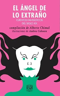 El ángel de lo extraño: Cuentos fantásticos del siglo XIX