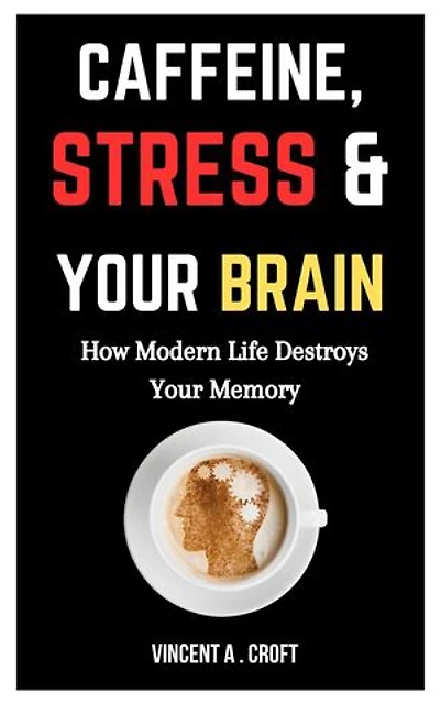 Caffeine, Stress, and Your Brain: How Modern Life Destroys Your Memory
