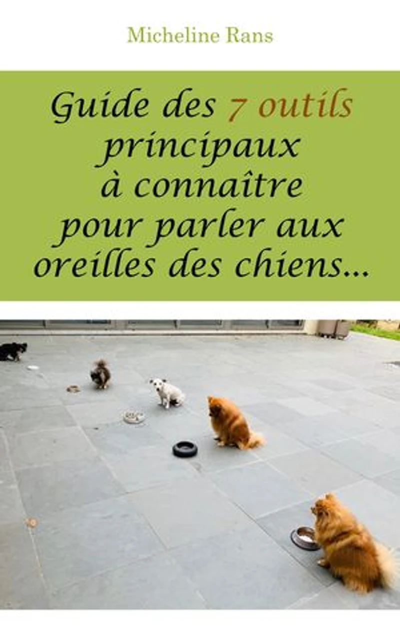 Guide des 7 outils principaux à connaître pour parler aux oreilles des chiens...