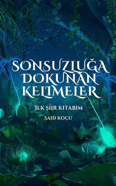 Sonsuzluğa Dokunan Kelimeler: poetry diary, #0
