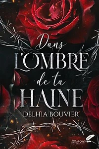 Dans l'ombre de ta haine (dark romance)