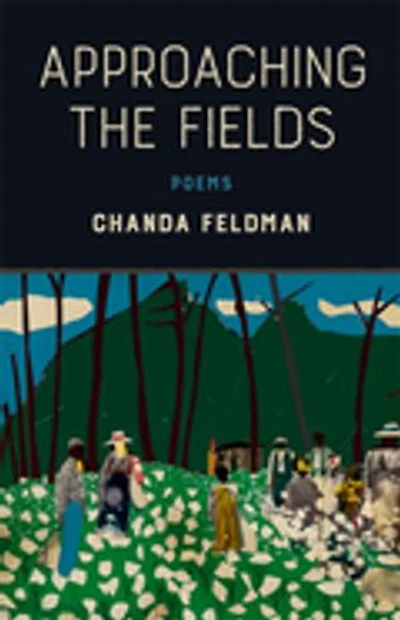 Approaching the Fields: Poems